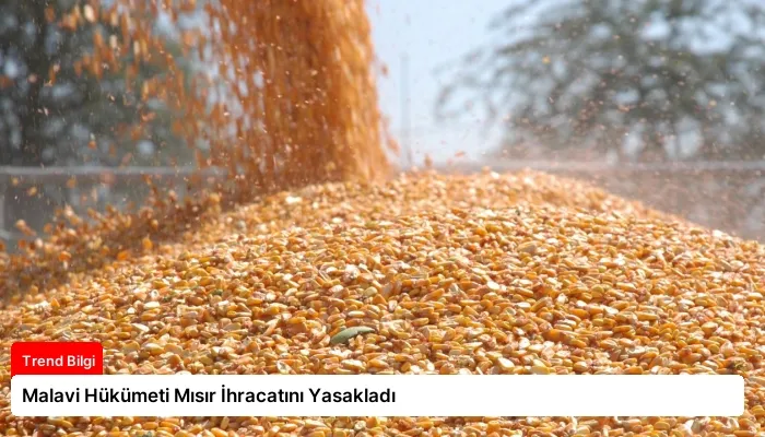 Malavi Hükümeti Mısır İhracatını Yasakladı