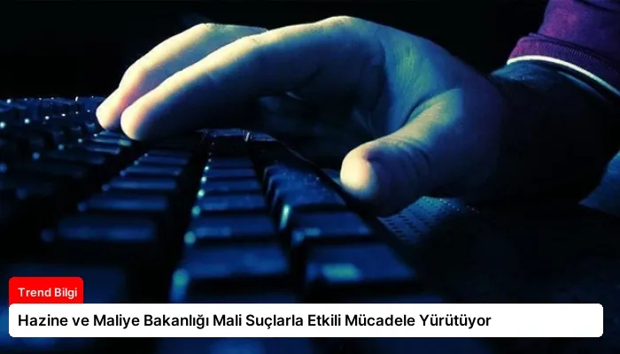 Hazine ve Maliye Bakanlığı Mali Suçlarla Etkili Mücadele Yürütüyor