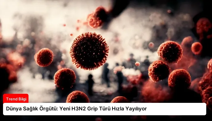 Dünya Sağlık Örgütü: Yeni H3N2 Grip Türü Hızla Yayılıyor
