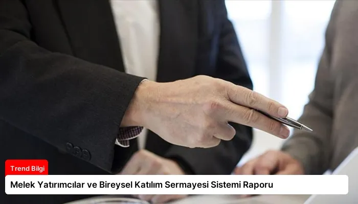 Melek Yatırımcılar ve Bireysel Katılım Sermayesi Sistemi Raporu