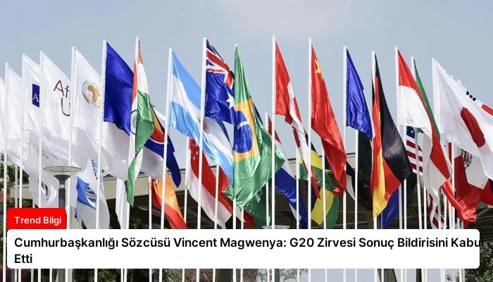 Cumhurbaşkanlığı Sözcüsü Vincent Magwenya: G20 Zirvesi Sonuç Bildirisini Kabul Etti