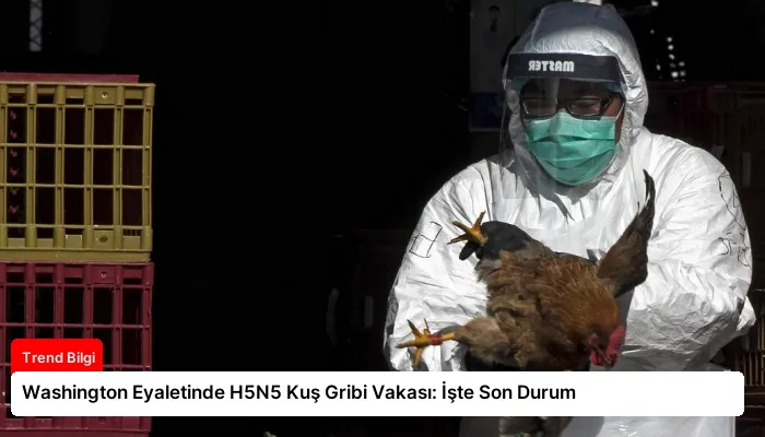 Washington Eyaletinde H5N5 Kuş Gribi Vakası: İşte Son Durum