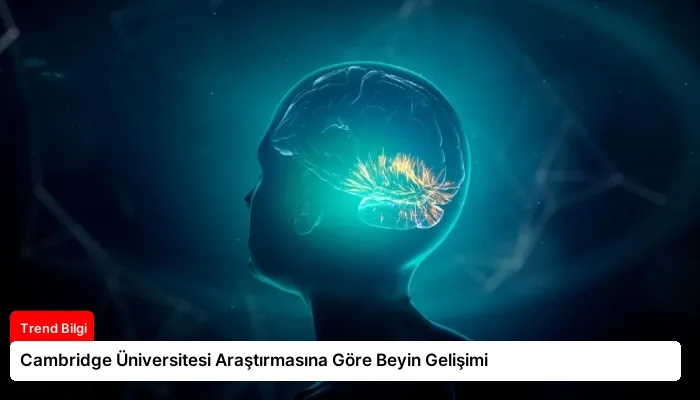 Cambridge Üniversitesi Araştırmasına Göre Beyin Gelişimi