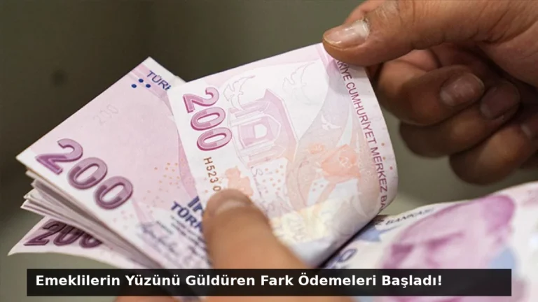 Emeklilerin Yüzünü Güldüren Fark Ödemeleri Başladı!
