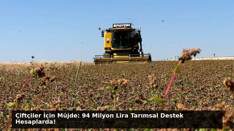 Çiftçiler İçin Müjde: 94 Milyon Lira Tarımsal Destek Hesaplarda!