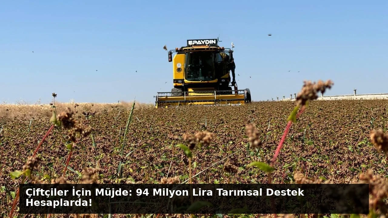 Çiftçiler İçin Müjde: 94 Milyon Lira Tarımsal Destek Hesaplarda!