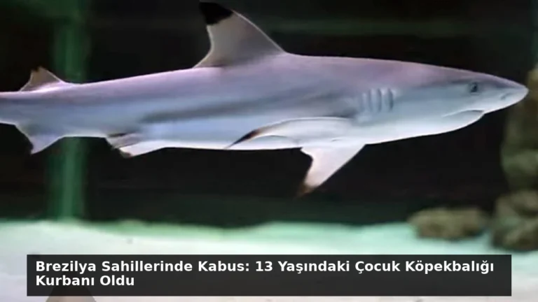 Brezilya Sahillerinde Kabus: 13 Yaşındaki Çocuk Köpekbalığı Kurbanı Oldu