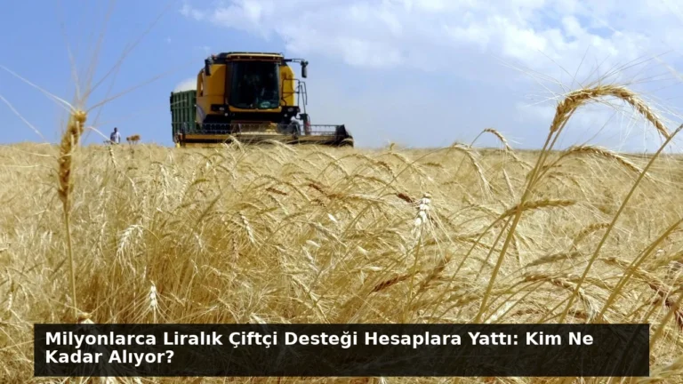 Milyonlarca Liralık Çiftçi Desteği Hesaplara Yattı: Kim Ne Kadar Alıyor?