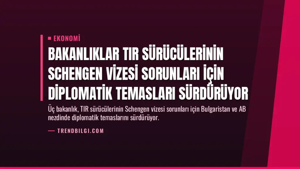 Bakanlıklar TIR Sürücülerinin Schengen Vizesi Sorunları İçin Diplomatik Temasları Sürdürüyor