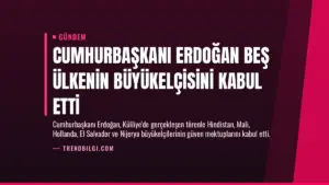 Cumhurbaşkanı Erdoğan Beş Ülkenin Büyükelçisini Kabul Etti
