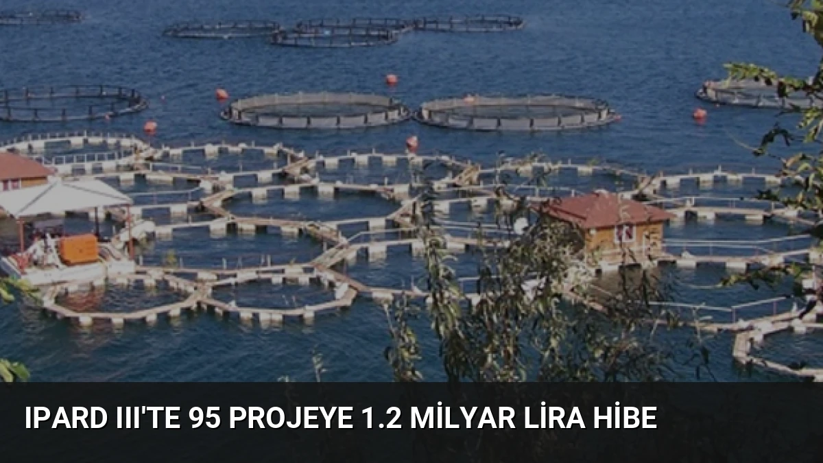 IPARD III’te 95 Projeye 1.2 Milyar Lira Hibe