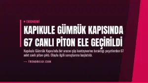 Kapıkule Gümrük Kapısında 67 Canlı Piton Ele Geçirildi