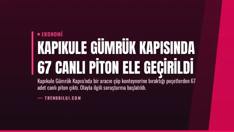 Kapıkule Gümrük Kapısında 67 Canlı Piton Ele Geçirildi