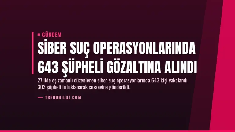 Siber Suç Operasyonlarında 643 Şüpheli Gözaltına Alındı