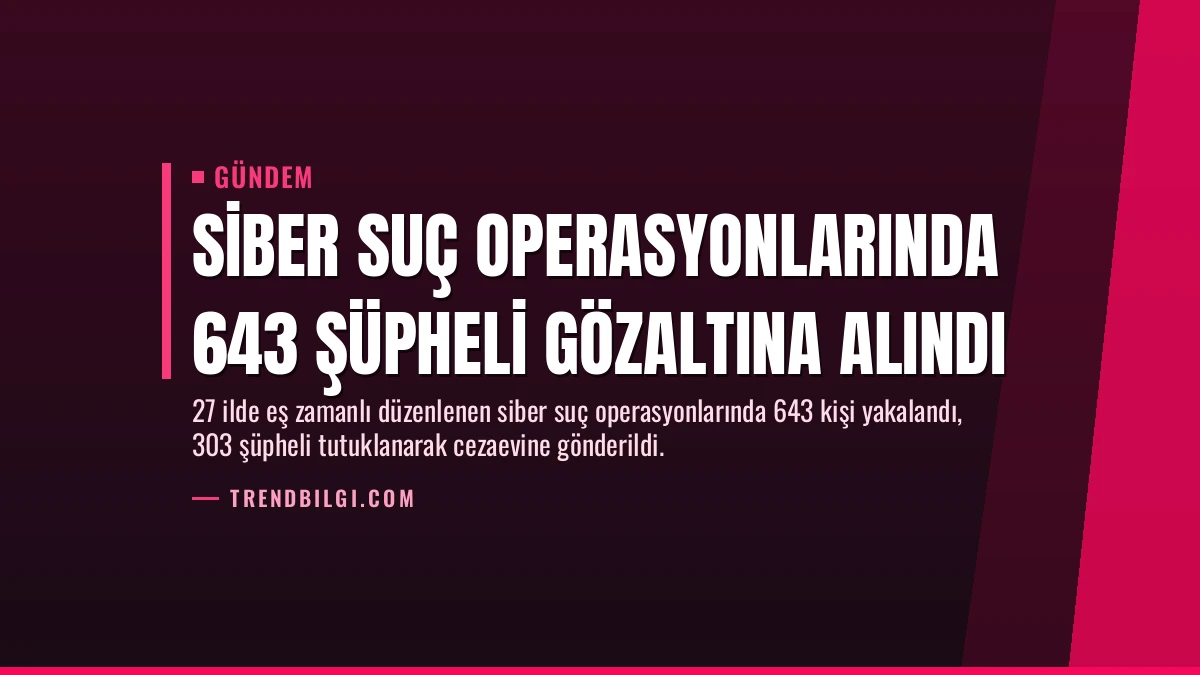 Siber Suç Operasyonlarında 643 Şüpheli Gözaltına Alındı
