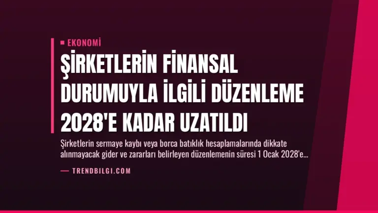 Şirketlerin Finansal Durumuyla İlgili Düzenleme 2028’e Kadar Uzatıldı