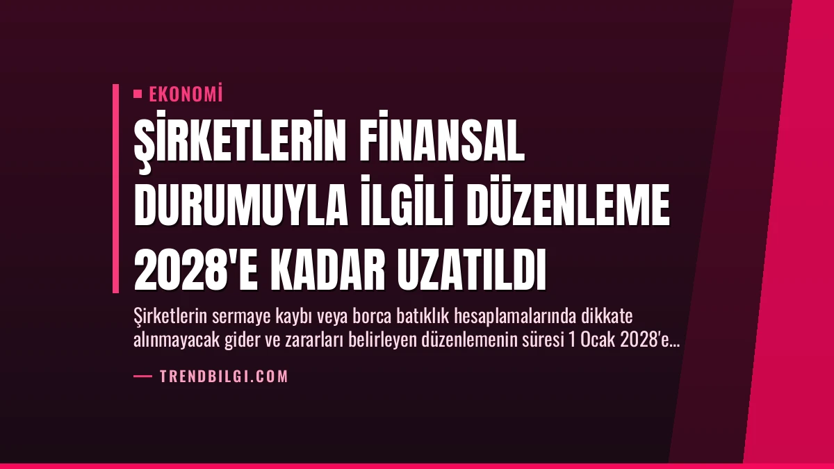 Şirketlerin Finansal Durumuyla İlgili Düzenleme 2028’e Kadar Uzatıldı