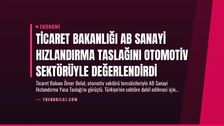 Ticaret Bakanlığı AB Sanayi Hızlandırma Taslağını Otomotiv Sektörüyle Değerlendirdi