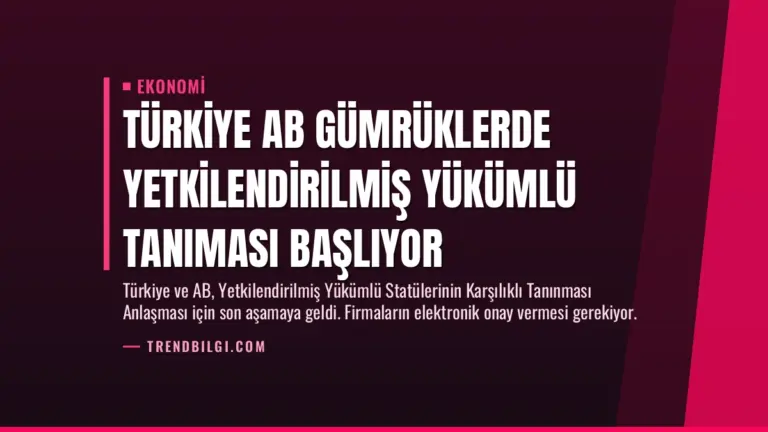 Türkiye AB Gümrüklerde Yetkilendirilmiş Yükümlü Tanıması Başlıyor