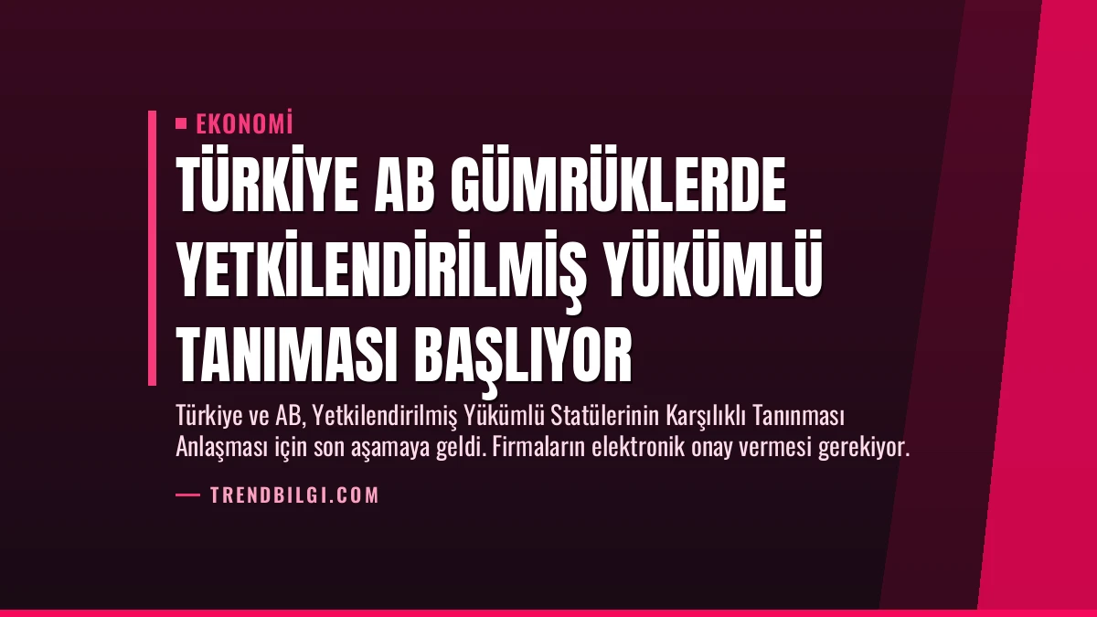 Türkiye AB Gümrüklerde Yetkilendirilmiş Yükümlü Tanıması Başlıyor